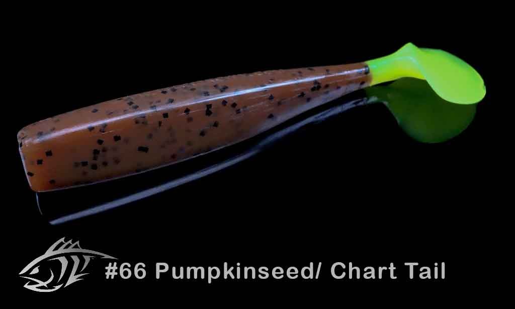 66 Pumpkinseed Chart Tail