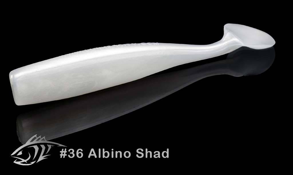 36 Albino Shad